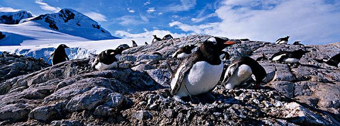 《英雄无敌7：烈火试炼》D加密被Delusional攻破了