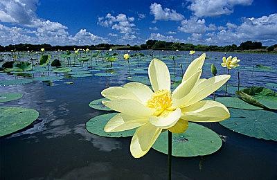 露营魔女展开了一场追寻母亲足迹的旅程 《海珂：北境极光》今日正式发售！