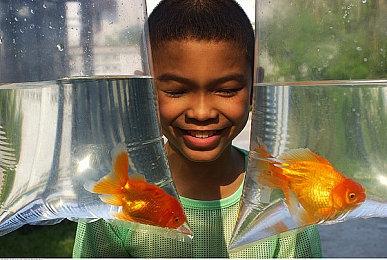 《卧龙：苍天陨落》天柱山等介绍 红晶姐姐太美丽